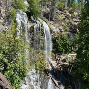 Meet your Posher, Gregory